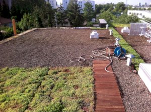 Installation d'un toit végétal